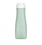 Daeng Gi Meo Ri Look At Hair Loss Minticcino Sgav Klmutushooldus 500ml