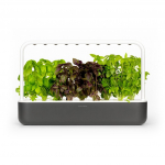 Click And Grow Smart Garden 9 alustuskits - Musta hallTranslation: Smart Garden 9 Starter kit - Dark Gray