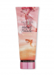 Victoria's Secret Sametiste ied Kuldne Kehupiim 236ml
