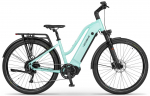 Ecobike LX500 17" Mint