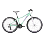 Bicycle ROMET Jolene 6.1, 26" green-purple (L)