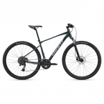 GIANT Roam 2 Bicycle, Asphalt Green (M)