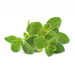 Click And Grow Smart Garden Refill 3-pakend - Oregano