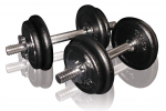 Cast iron weight dumbbells set with case TOORX 0.75-15 kg