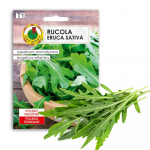 PNOS Seemned lindil | Rucola Eruca Sativa | 6m lind
