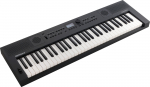Roland GO:KEYS 5 klaviatuurimngija, hall (GOKEYS5-GT 230V E/EU)