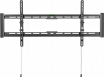 KIVI BASIC-48T