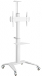 Gembird Monitooripsti Alumiinium TV Floor Stand kastreeritud rullad Valge