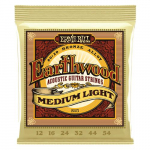 Ernie Ball Acoustic terasest kitarr, 6 tk