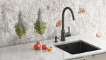 Kitchen faucet Aquasanita 5523JG-601
