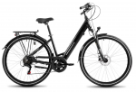 Romet Electric bike ProEco Wave AN 1.0 R 504Wh 19 AND quot; graphite-silver