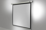 Celexon Majanduslik tahvel 2900 x 1630 mm