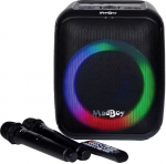 MadBoy Audio MadBoy TOTAL S akutoitega karaokekeskeleidiga traditsioonilised mikrofonid (TOTALS)