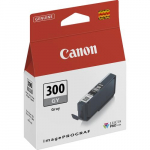 CANON Tulostuslaatta. PFI-300;TM-200/MP24EI/MPt24 ;TM-205;TM-300L36EI/MP36;TM-305/MP T 36;(4200C001) Harilik