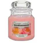 Yankee Candle Korallipioonide knl (korallipioon)