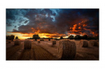Samsung Displays Samsung Smart Signage VM55B-U 138,7cm(55") 3,50mm B-to-B (Speditionsversand)