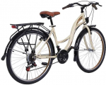 BELDERIA 28" Vision-Holiday Brown