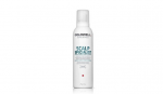 GOLDWELL Dualsenses Peaekspert Sensitiivne Vahtampoon 250 ml