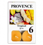 PROVENCE Teeknaled Troopiline 6tk