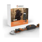 Weenect Mini GPS-jlgija suurtele koertele - Dog XT Orange collar (kojamaga)