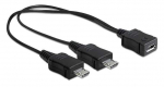 Delock USB-kaabel (65440) Must