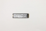 Lenovo 256GB M.2 NVMe Solid State Drive