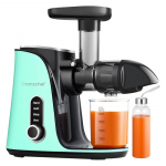 AMZCHEF GM3001-GN aeglase kiirusega mahlapress (roheline)