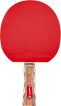 Insportline Table Tennis Paddle Shootfair S4
