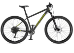 Author Lahendus 29 Temple Grey mati/must mati 19" 2026