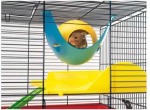 Savic KODU SPUTNIK-HAMSTERILE