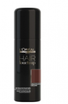 LOral Professionnel L'Oral Professionnel Juuksekannatuse Korrektor Phklikarpruun Aerosool 75 ml