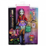 Mattel Nukk Monster High Jinafire Long koos loomaga