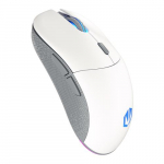 ENDORFY GEM Plus Wireless Onyx Valge