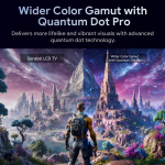 Fpd 65"" ML970 4K QD Mini-LED Google TV (65ML970A)