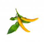 Click And Grow Smart Garden Refill 3-pakend - Kuldne Kapsas```