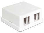 Delock 86207 juhtmehendus 2x Keystone valge