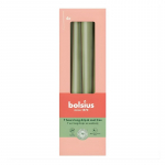 bolsius Sgilaua Knlad 4 tk 245/24 mm Olive Green