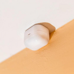 Shelly BLU Motion Passiivne infrapuna (PIR) andur Juhtmeta Lae-/seinapaneel Valge