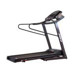 Treadmill BH FITNESS Pioneer Senior
