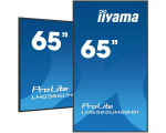 iiyama 65"" 3840x2160, UHD IPS panel