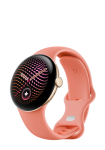 Google Google Pixel Watch 5 WiFi 41mm ampaanileegend / Canyon , GA10902-DE
