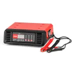 Amio Akulaadija 10A 6V 12V -04056