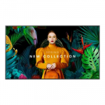 SAMSUNG Digitaalne signaal QHC sarja 43" QH43C (LH43QHCEBGCXEN)