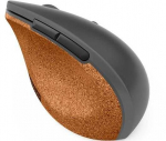 Lenovo Go Wireless