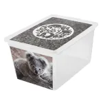 Branq Hoiduskarp 30L X box deco koala