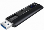 SANDISK Eesti Pro 256GB