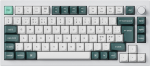Keychron Q1 HE 75% mehaaniline klaviatuur, Gateron Double-Rail llitid, valge (Q1H-P1-BO)