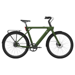 Electric bicycle TENWAYS CGO009, Jungle Green