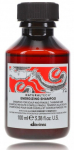 Davines Natura Tee Energiseeriv Ksiampoon 100 ml