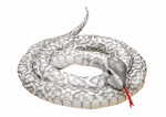 LEAN Toys Plush Gray Snake Mascot 110 cm